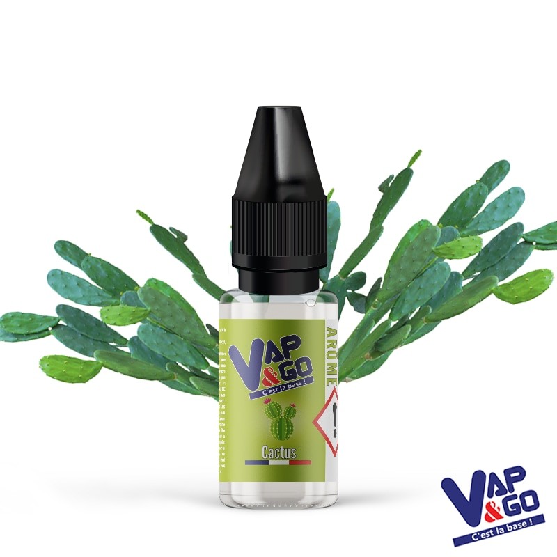 Arôme Cactus VAP&GO DIY 10 ml